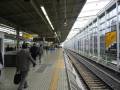 Kyoto Tracks