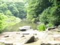 Pond